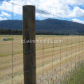Hot mencelupkan pagar kawat galvanis bidang